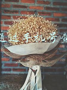 怎样通过手机号查快递