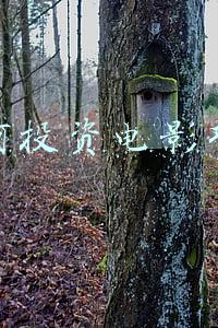 如何投资电影项目