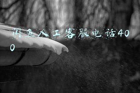 闲鱼人工客服电话400