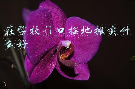 在学校门口摆地摊卖什么好