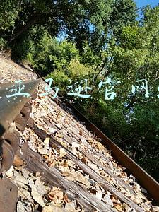 美国亚马逊官网地址