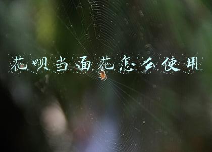 花呗当面花怎么使用