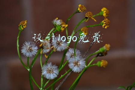 设计logo免费