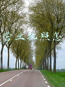 查询营业执照怎么查