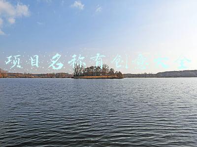 项目名称有创意大全