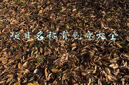 项目名称有创意大全