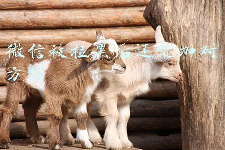 微信被拉黑之后怎么样能加上对方(微信拉黑了，怎么联系对方)