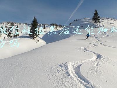 微信被拉黑后还能加对方吗