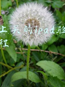 网上买的ipad验货教程