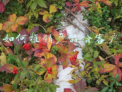 如何推销产品给客户