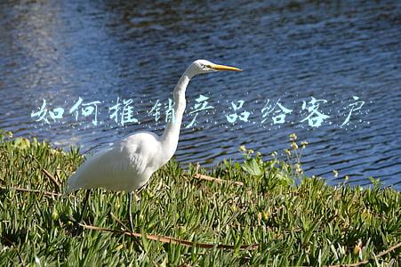 如何推销产品给客户