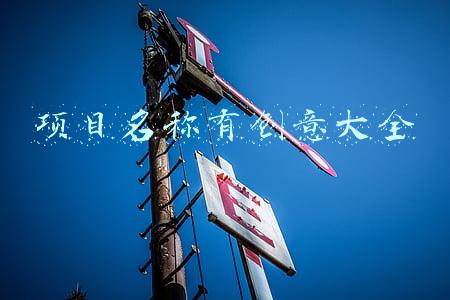 项目名称有创意大全