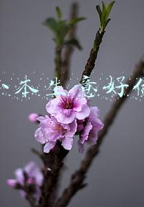 什么小本生意好做挣钱