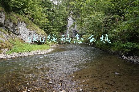 sku编码怎么填
