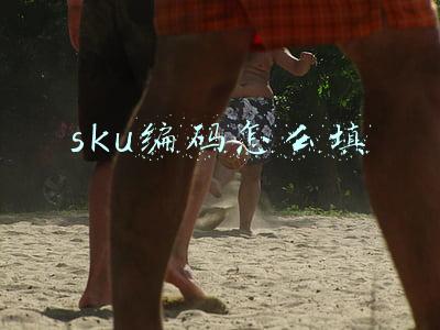 快手sku编码怎么填(「发得快教程」分销商一键推单，一定要注意这些哦)