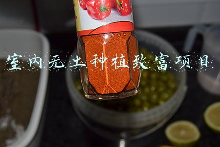 室内无土种植致富项目
