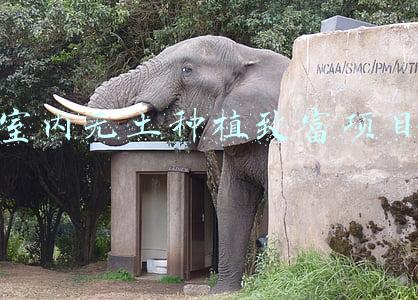 室内无土种植致富项目