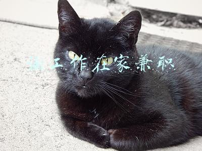淘工作在家兼职