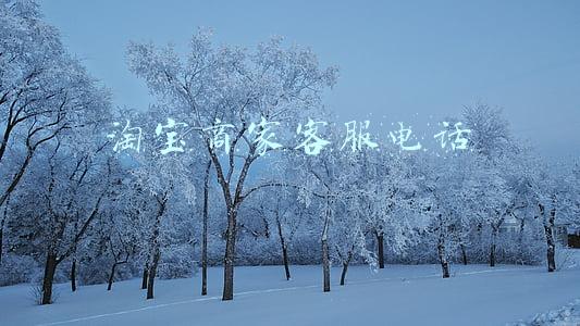 淘宝商家客服电话