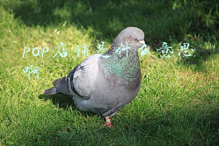 pop店铺是什么意思啊