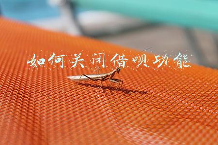 如何关闭借呗功能