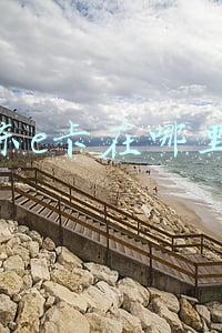 京东e卡在哪里看
