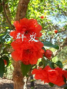 适合群发的信息