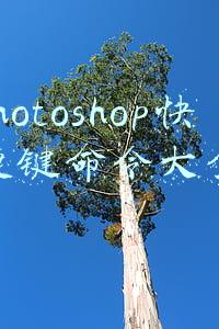photoshop快捷键命令大全