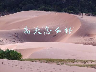 高夫怎么样
