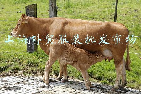 上海外贸服装批发市场 上海外贸服装批发市场