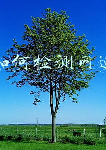 手机如何检测网速(手机里输入这4个数字，一键揪出蹭网设备，家里的网速瞬间提升)
