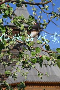化妆品代卖