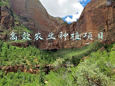 高效农业种植项目