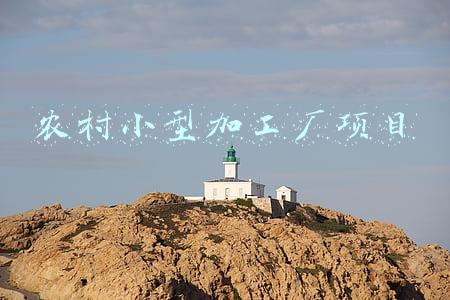 农村小型加工厂项目