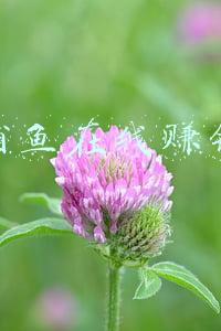 捕鱼在线赚钱