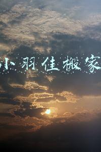 小羽佳搬家