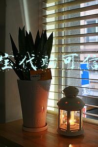 淘宝代购可信吗