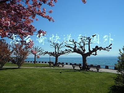 怎么寄快递到国外