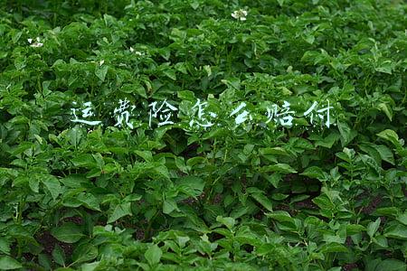 运费险怎么赔付