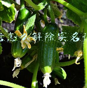 微信怎么解除实名认证