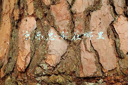 京东总部在哪里