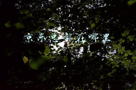 京东总部在哪里
