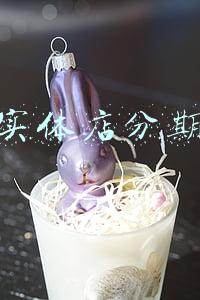 苹果实体店分期要求
