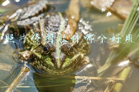 照片修图软件哪个好用