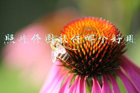 照片修图软件哪个好用