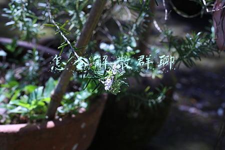 怎么解散群聊