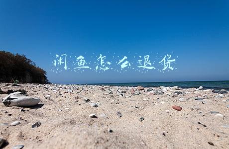 闲鱼怎么退货
