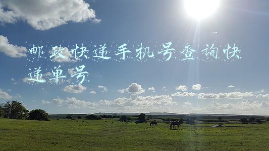 手机查询邮政快递单号查询(快速查询邮政 EMS 中通 韵达 京东快递单号异常件 跟踪快递单号记录)
