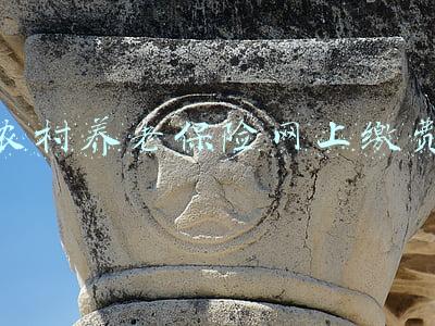 农村养老保险网上缴费