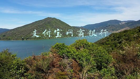 支付宝网商银行